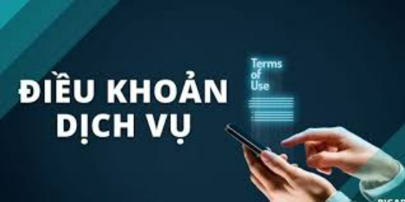 Các thông tin giới thiệu điều khoản dịch vụ tại W88